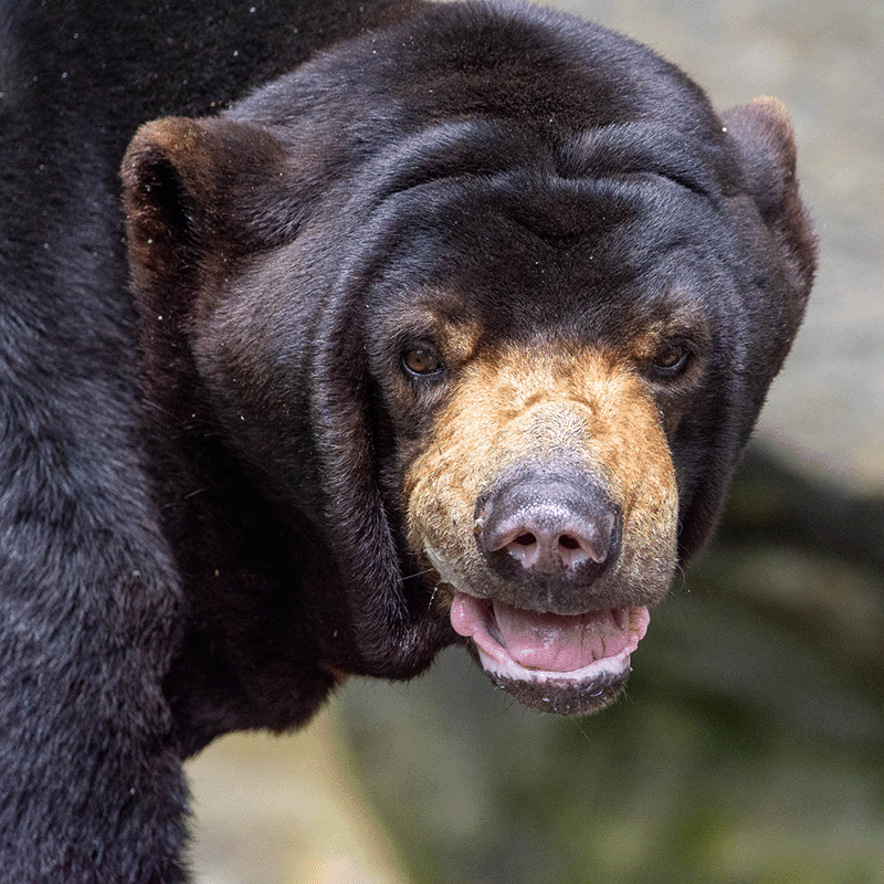 Zoologická zahrada Jihlava
